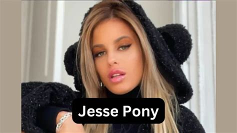 Gapping The Ass Of Jesse Pony By Porn Corn Vr Cowgirl Hardcore Missionary Pov Doggy Style Vr Porn Faphouse
