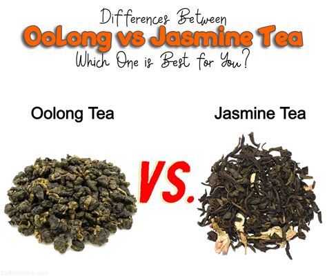 Is Jasmine Tea Green Tea Understanding The Differences Nptea